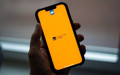 Digital ID, big tech and the Dutch dilemma